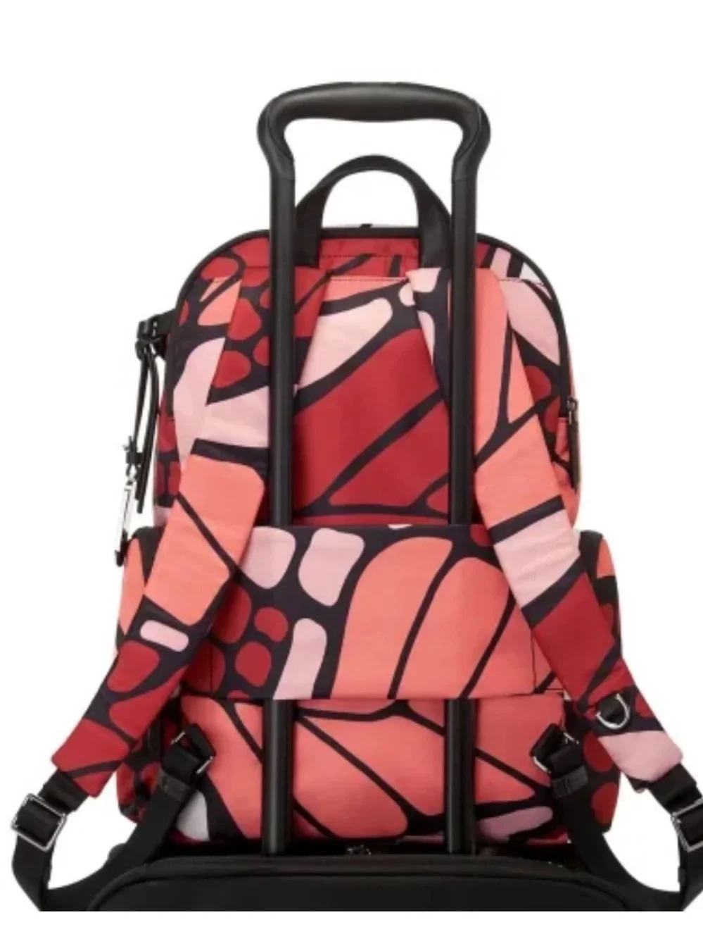 Tumi Voyageur Celina Backpack in Swallow Tail Print